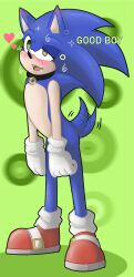  auri blush collar drool furry heart_eyes male_only malesub sonic_the_hedgehog sonic_the_hedgehog_(series) standing text 