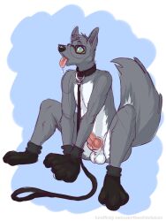 collar dog_pose drool erection furry glasses gloves knotted_penis leash male_only malesub non-human_penis open_mouth penis pet_play simple_background sitting sketch solo spiral_eyes symbol_in_eyes thewhitefalcon tongue tongue_out wolf_boy