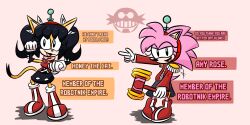 amy_rose antenna black_hair boots cat_girl classic_amy_rose coat dress frantheflan gloves hedgehog_girl honey_the_cat pink_hair sonic_the_hedgehog_(series) tech_control