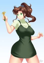 breasts brown_hair female_only gradient_background green_eyes hadant large_breasts long_hair ponytail sailor_jupiter sailor_moon_(series) signature simple_background solo