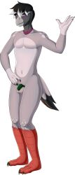 bird_boy bottomless chastity femboy furry katzepunk nude pigeon_boy pink_eyes reference_sheet swirlys_club_(kt1v3nus) tagme topless zayn_(kt1v3nus)