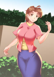  breasts brown_hair delia_ketchum haryudanto large_breasts long_hair nintendo pokemon pokemon_(anime) 