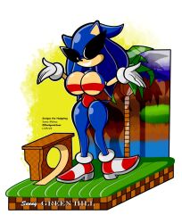 ass breasts doll dollification femsub flashpointgear furry genderswap hedgehog_girl huge_ass knick_knack large_breasts smile sonic_the_hedgehog sonic_the_hedgehog_(series) statue sunglasses sunny_miami 