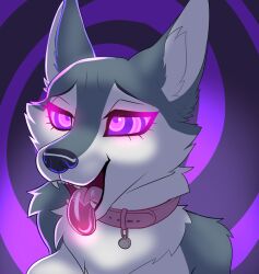  collar dog_tags drool eyelashes fangs female_only femsub furry grey_skin kahluafrappe open_mouth porsha_crystal purple_background purple_eyes ring_eyes simple_background sing smile spiral_background tongue tongue_out wolf_girl 
