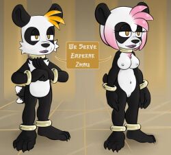 amy_rose anklet bracelet breasts collar empty_eyes femsub furry hedgehog_girl jewelry malesub miles_tails_prower mr.h open_mouth panda_boy panda_girl short_hair sonic_the_hedgehog_(series) standing standing_at_attention symbol_in_eyes text transformation