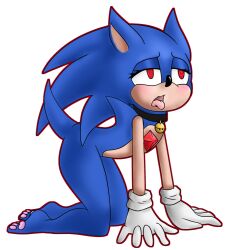  auri blush collar furry kneeling male_only malesub open_mouth red_eyes sonic_the_hedgehog sonic_the_hedgehog_(series) spiral_eyes 